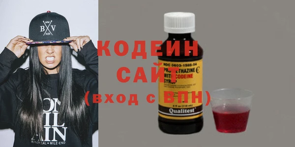 гашик Алзамай