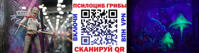 kraken ССЫЛКА  Апатиты  Псилоцибиновые грибы GOLDEN TEACHER  наркота 